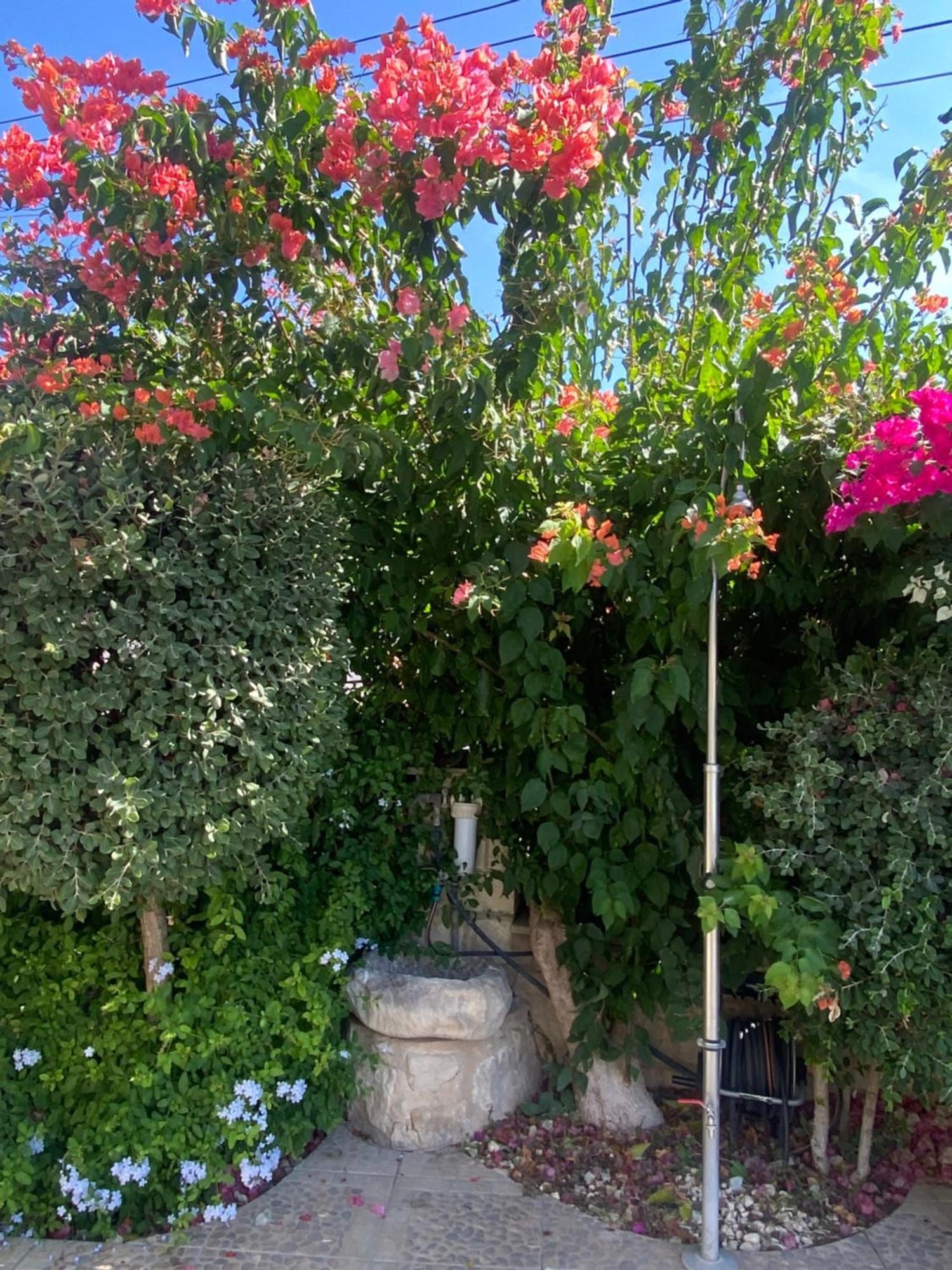 Almond Grove Villa Simou Экстерьер фото