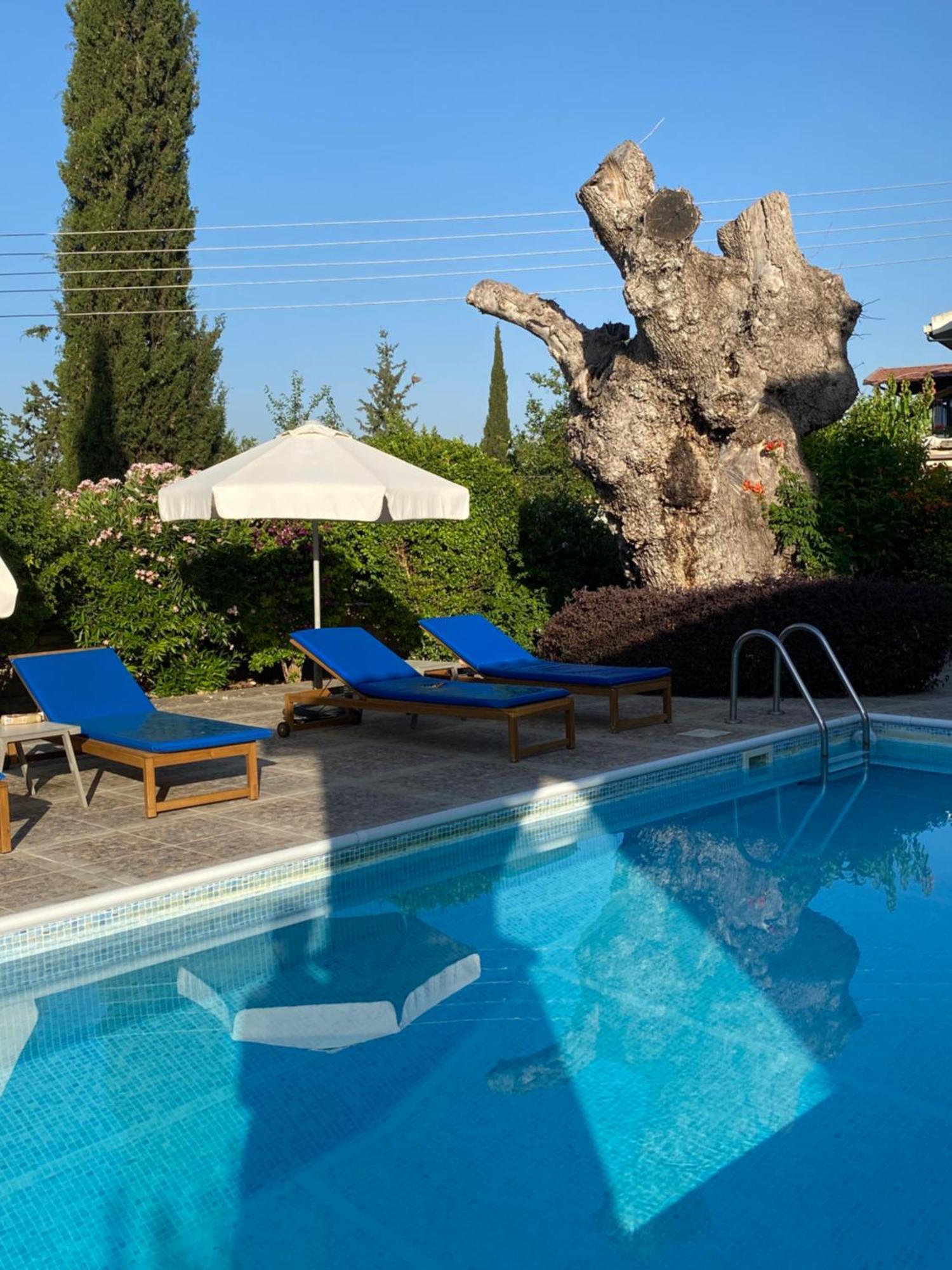 Almond Grove Villa Simou Экстерьер фото