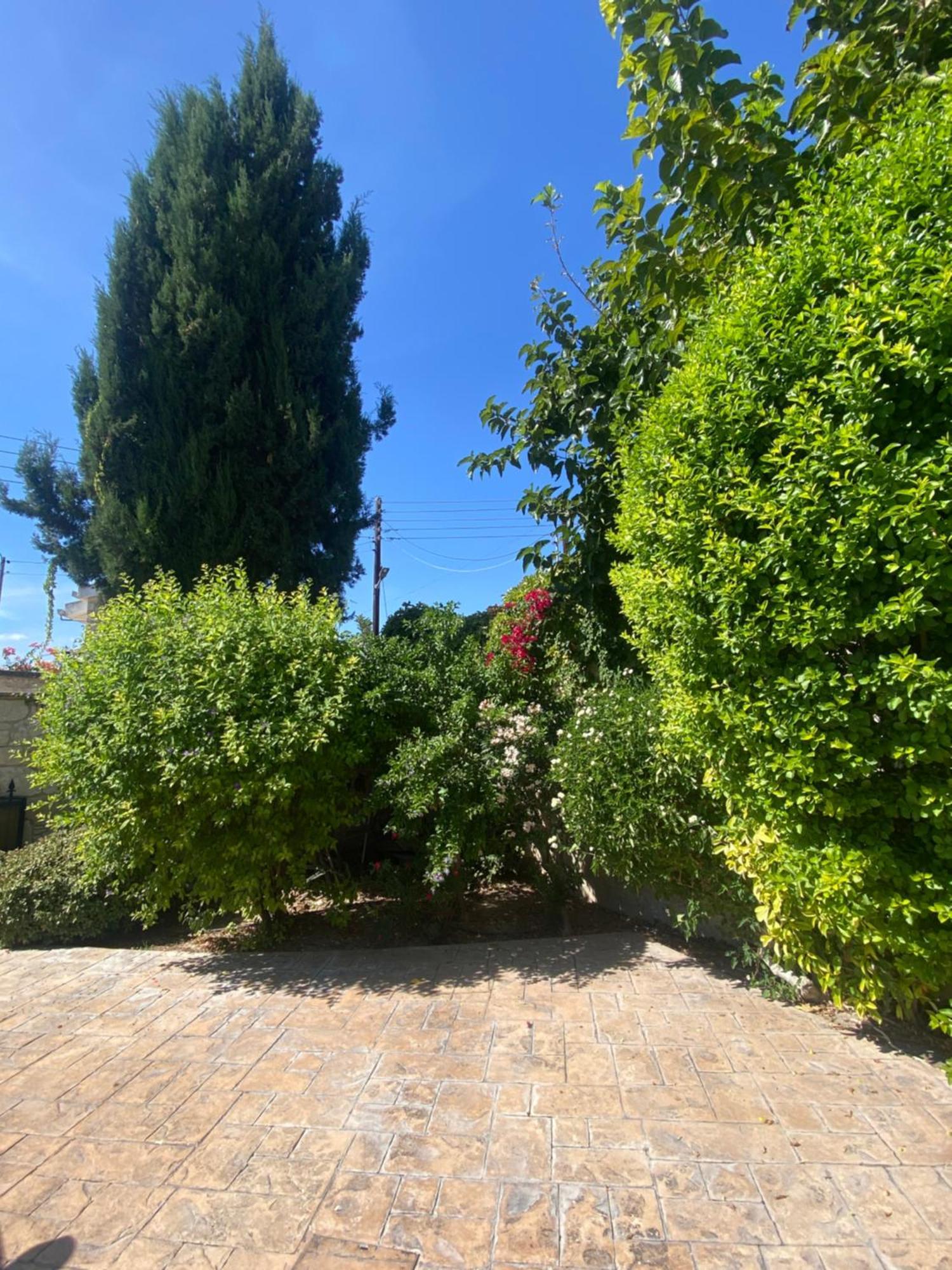 Almond Grove Villa Simou Экстерьер фото